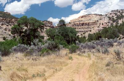 Medicine Lodge Creek 4